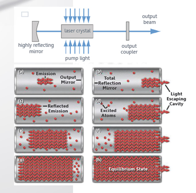 Bio-IVL-figure01-updated